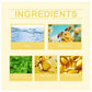 HOUKEA - Bee Venom Skin Care Cream (Original)